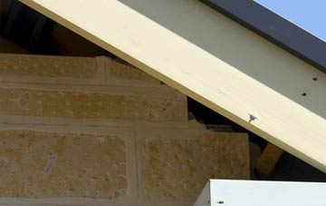 soffit repair Bessacarr